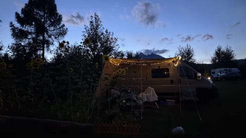 Camp en jo – 4p Peugeot bus uit 2025