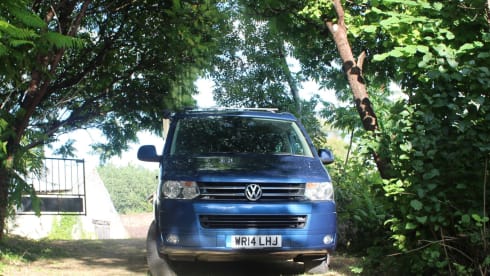 Dragonfly – VW California