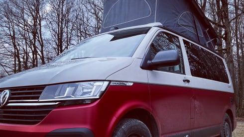 CALI Red/Grey – Volkswagen California Coast Red/Ascot Gray (2022)