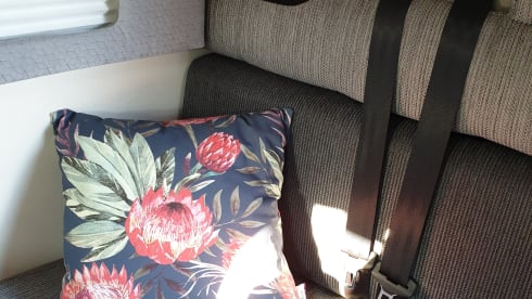 Wanderlust – Modern 6-Berth Motorhome with 5 Seatbelts - Your Adventure Awaits!