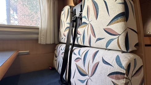 Pigi – Camper di Luis