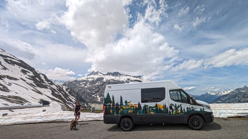Woody – Adventures for explorers