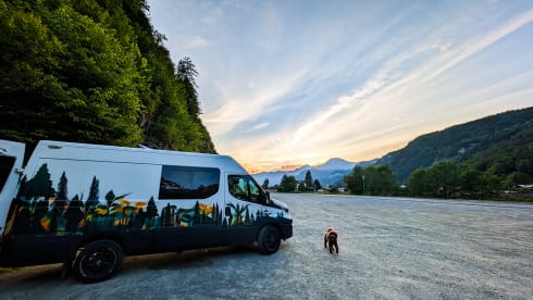 Woody – Adventures for explorers