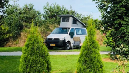 4p Volkswagen bus from 2014