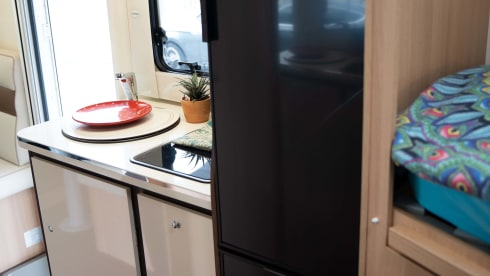 Franky – Rent Me:)