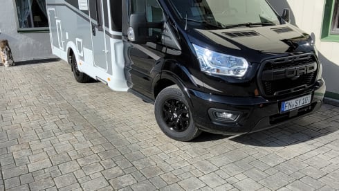 Sunny – Sunlight Adventure