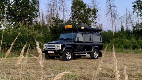 Defender 110 by Lowland Escapes