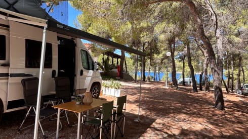 4p Weinsberg bus uit 2023