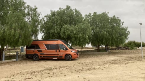 2020 Adria Twin 640SLB bus