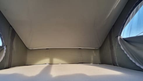 "De Witte" – 4p Volkswagen bus from 2004