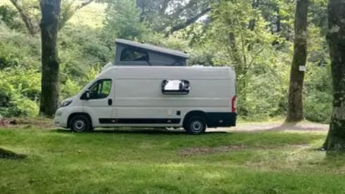 Ti lamp Ti lamp  – Jackies Van