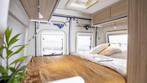 Cliff 540 – Sunlight Cliff 540