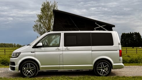 ZIGGY – 2018 Volkswagen Camper 