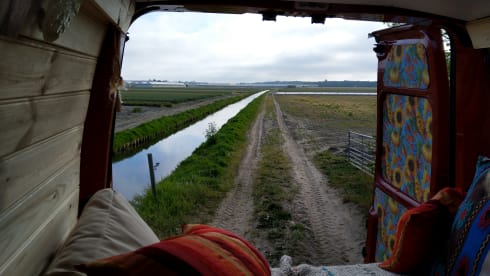 On the road with Red Hot Chili Pepper bus (2 persons)