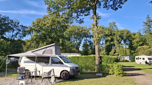 4-seater Volkswagen bus from 2013