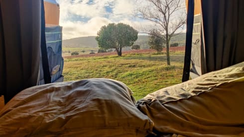 Arthur – takes you smoothly to any adventure - Ford Transit