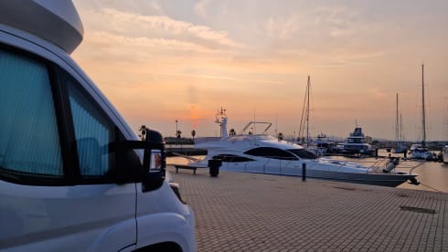 Etrusco T6900 DB