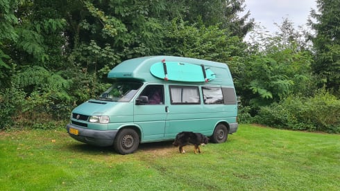 Flow  – Volkswagen California camper including insurance