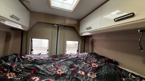 2p McLouis bus from 2020