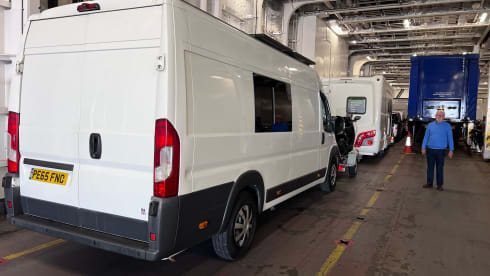 White Shark  – Wild Camper