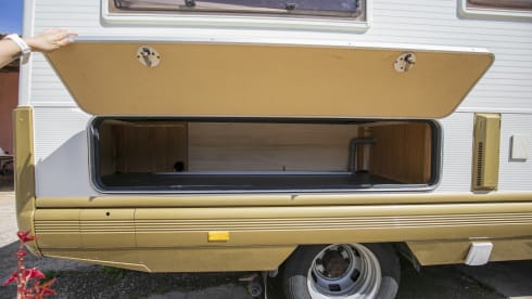 Sangria – Walking with Sangria!