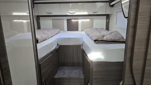 4p McLouis carat integraal uit 2019