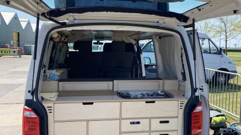 Ventje_Pezarro – Camper Ventje- Luxury VW T6 automatic for 4 people