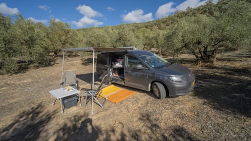 Lizzie – Economical camper van from 2024
