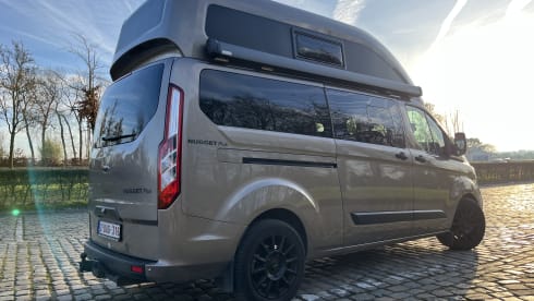 4p Ford bus from 2024