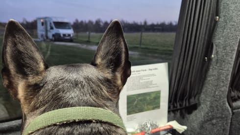 Jude – 4 Berth VW Camper