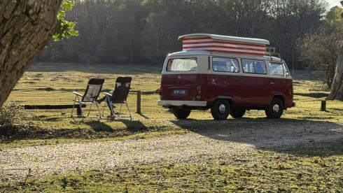 Rosie – Take me out for a retro adventure with your friends, family and pets