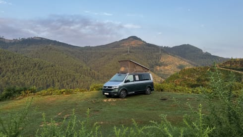 BEACH Green – Volkswagen California COAST Marrone/Grigio Ascot (2021)