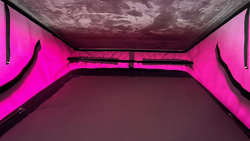 Lily – Lily - T6.1 Adventure Transporter