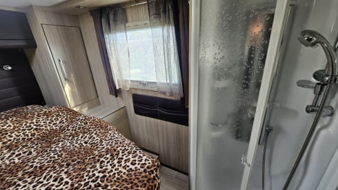 Zweisitziger Fiat Alcove aus dem Jahr 2010