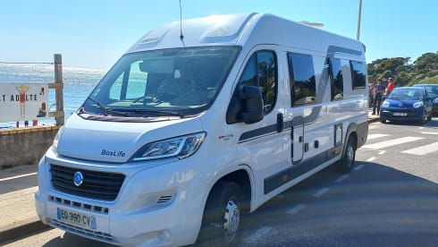 Bob – MAXIVAN KNAUS BOXLIFE 4 Real beds / 2 interior bedrooms