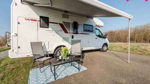 4-seater Ford Roller Team automatic 170 hp from 2021