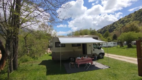 M.E.G.A.N. – Freedom has no price