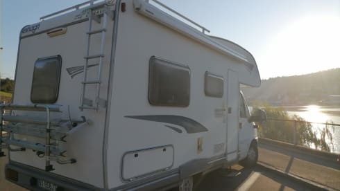 SAMO – FREE TO TRAVEL