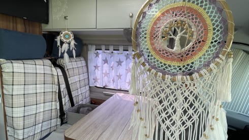 GINNY – small but has everything