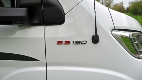 2p Pilote integrated from 2019