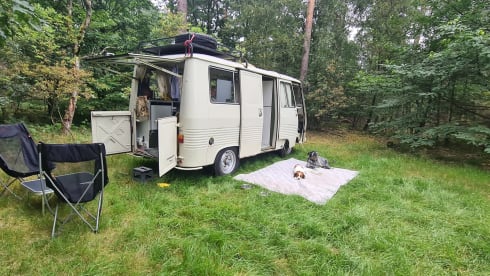 Jeetje – French Peugeot J7 oldtimer campervan 1974