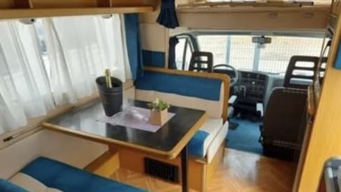 Laika Ecovip 3L in perfette condizioni.