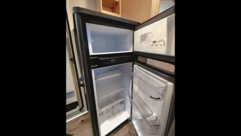 Sunny – Sunlight Adventure