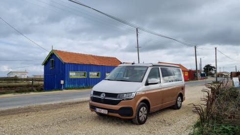 BATmobiel :) – VW California T6.1 with parking heater