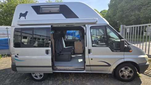 'The Nugget' – 4p Ford bus uit 2003