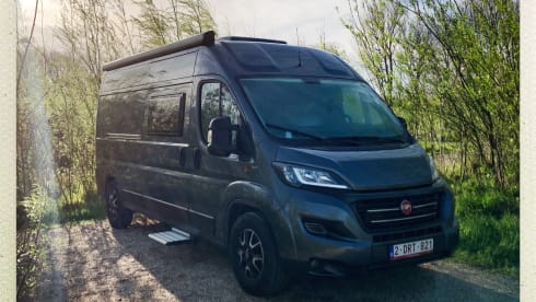 Suzy – 4p Fiat bus from 2020