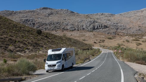 Carado T338 - LONGITUDINAL BEDS (1/4 persons)