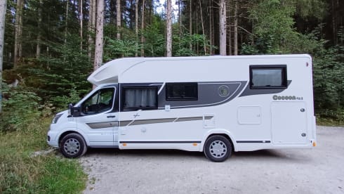 5p Benimar semi-integrated from 2023