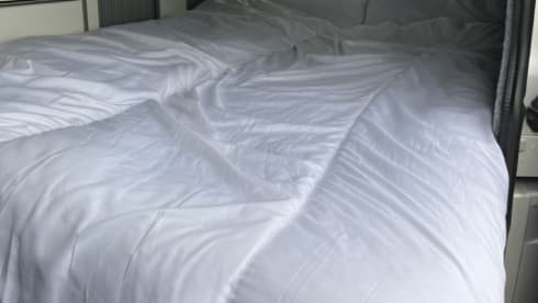 Stan – 4 berth Volkswagen campervan from 2019