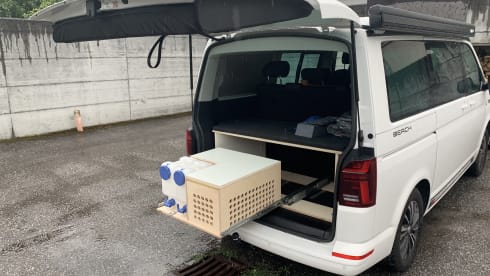 Cali – Volkswagen California Beach